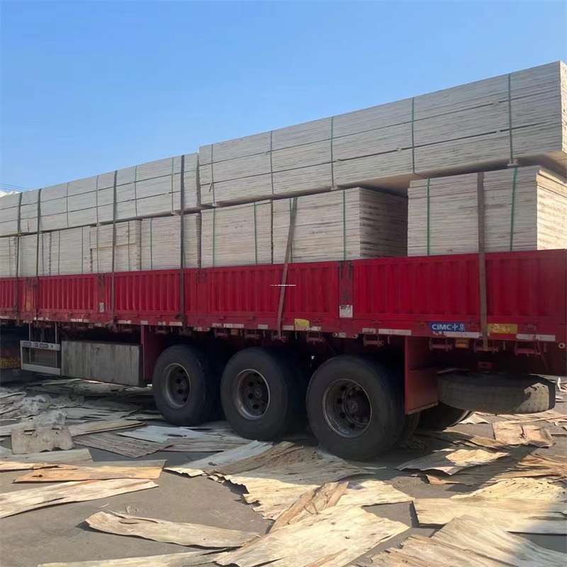 河南许昌长葛到新疆阿勒泰吉木乃县物流公司，专业物流服务助您成功